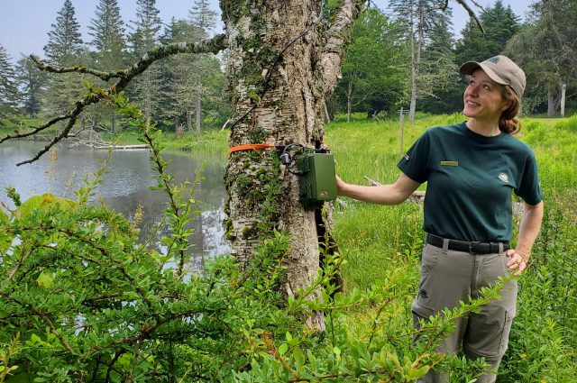 A Parks Canada staff person stands smiling next to a tree with a green container mounted onto it in the forest near water.