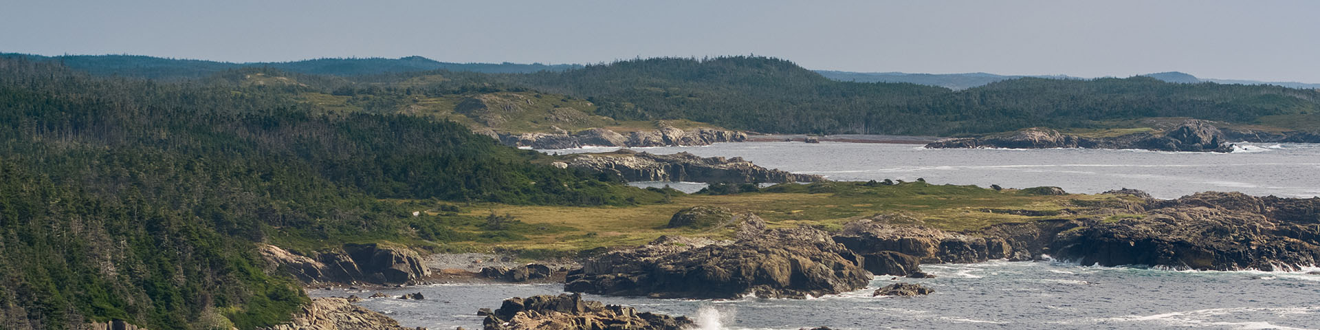 Aerial view of the forested landscape and ocean in Louisbourg