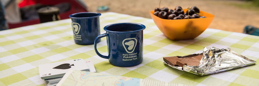 Two coffee cups on a picnic table.